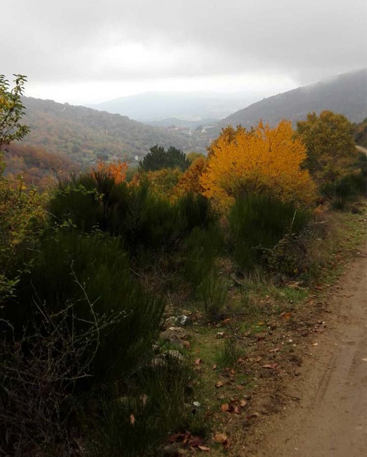 Ruta SierraSan Vicente